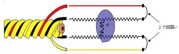 線纜式水浸傳感器，了解一下